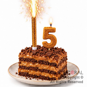SET BENGALA Y VELA NUMERAL NUMERO 5 CON GIBRE ORO